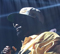 Wu-Tang Clan's The Final Chamber Farewell Tour Anchored by Elation Fixtures