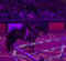 Robe Ramps Up the Horsepower for Equitana Spectacle