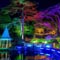 Firefly LED Festooning Creates Gardens Magic
