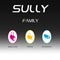 Sully -- The New Classic by Robert Juliat