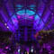 Historic Greenhouse Glows with Chauvet Professional