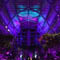 Historic Greenhouse Glows with Chauvet Professional