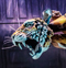 zactrack Marks Successful Partnership with Life of Pi