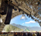 Burst Provides Reinforcement for Pemberton Music Festival