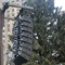 PRG Chooses VUE Line Array For Famed Tree Lighting Ceremony at Rockefeller Center