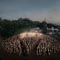 TiMax at the Heart of Two Immersive Collaborations for this Year's Glastonbury Festival