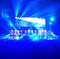 Martin EC-20 LED Display Highlights Tiësto's Latest Tour Design