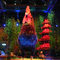 Look Solutions' TINY FX Fogger Welcomes Chinese New Year at Bellagio, Las Vegas