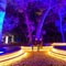 4Wall Lights Enchanted: Forest of Lights at Descanso Gardens