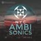 Pro Sound Effects Releases New York City Ambisonics Library