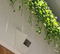 Crowne Plaza Adelaide Mawson Lakes Elevates Hospitality and Events with JBL