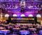 Anolis Specified for Leading London Venues