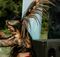 2 Rivers Remix Society Uses 100% Carbon-Neutral d&b audiotechnik System for First Nations Festivals