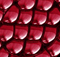 Ayrton Releases Nando 1202