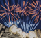 Illuminate and Elation Light Mount Rushmore for Historic Freedom 250 Celebration