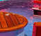 Anolis Calumma Units Light Up Carnival Cruise Ships