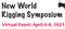 The 2021 New World Rigging Symposium -- A Virtual Conversation