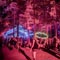 SJP Productions Creates Forest of Light at LOCKN' Festival with ChamSys