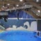 Grozny Dolphinarium Backs PR Lighting IP65 Luminaires