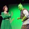 VL770 Spot Luminaires Are the Ideal Solution for Shrek: The Musical