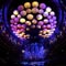 Ai Media Servers Power Ethereal Visuals for Coldplay's Royal Albert Hall Show