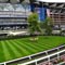 SSE Audio Nominated for AV Award for Ascot Racecourse Installation