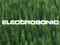 Electrosonic Partners with Treedom to Create a Better, Greener World