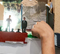 Springboard to Design Partners with New York Public Library at Harvey Fierstein Theatre Lab