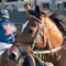 San Rossore Racecourse Modernizes Race Day Audio with JBL Professional