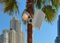 More Than 200 Martin Audio Speakers for Bla Bla Dubai Leisure Hospitality Complex
