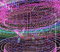 Brompton Technology Brings Kim Asendorf's Digital Art to Life at Art Basel