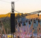 Martin Audio Wavefront Precision Deployed at Pickathon in Oregon