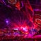 500+ Elation Lights for Ultra Music Festival 2016