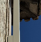 St. Francis of Assisi Basilica Enhances Pilgrim Experience with JBL Intellivox Technology