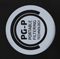 Black Lion Audio Announces Availability of PG-P Portable Power Conditioner