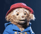 Neil Austin Chooses Robert Juliat SpotMe for Paddington: The Musical World Premiere