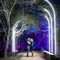 Descanso Gardens' &quot;Enchanted: Forest of Light&quot; Makes Holiday Debut with MA Control Systems' Support
