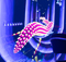 Igloo Vision Expands Immersive Reach Across Four Booths at InfoComm 2025